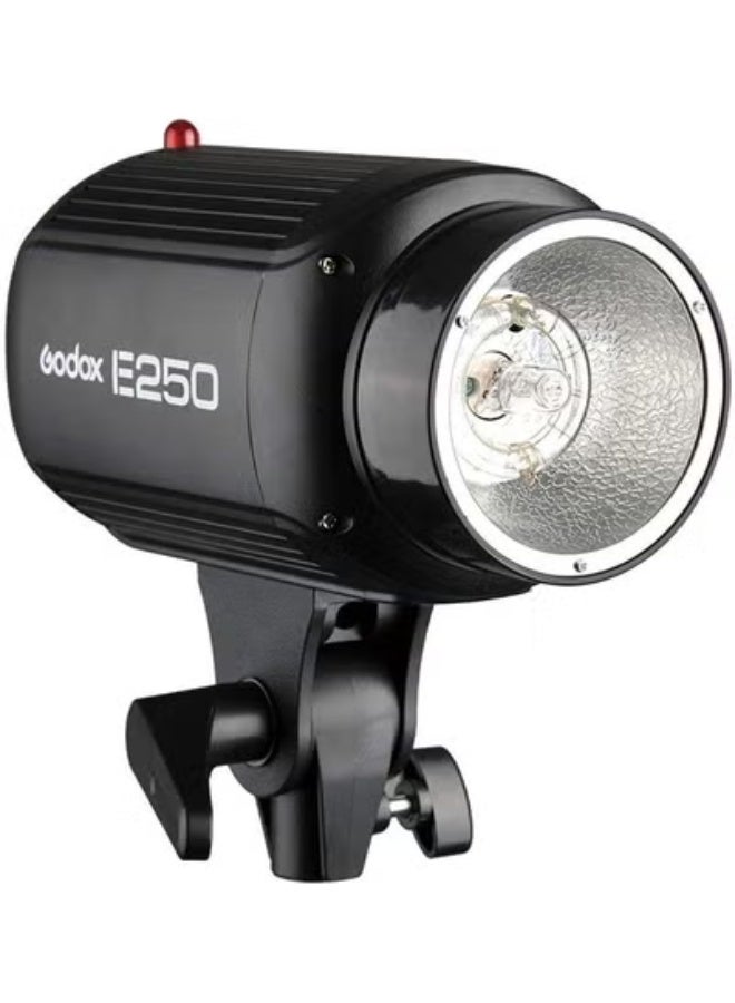 Godox Godox E250 Mini Photography Studio Strobe Flash